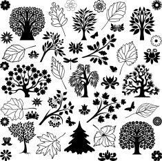 Trees and plants N5