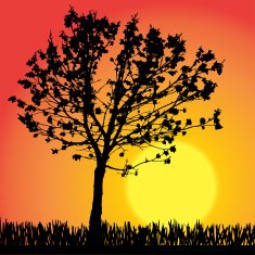 Vector silhouette of tree N17