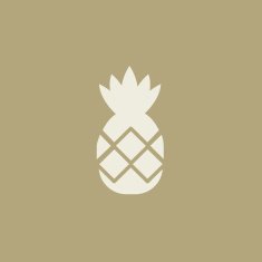 Food Flat Icon N29
