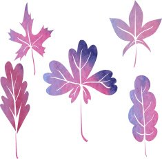 set of silhouettes by leaves in watercolor N3
