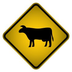 Warning Cows Sign- Vector N2