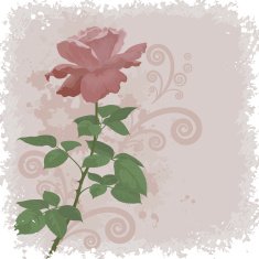 Holiday background with flower rose N3