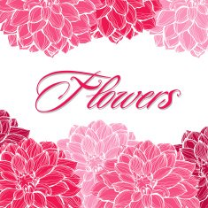 Flower decorative background N4