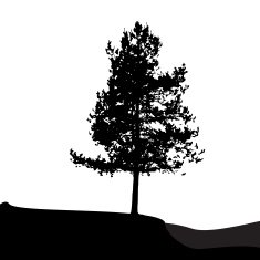 Tree Silhouette Isolated on White Backgorund Vecrtor Illustrati N33