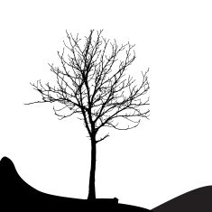 Tree Silhouette Isolated on White Backgorund Vecrtor Illustrati N34