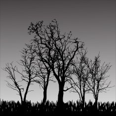 Vector silhouette of tree N25