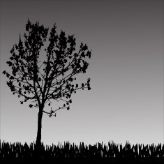Vector silhouette of tree N26