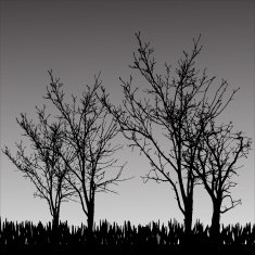 Vector silhouette of tree N27