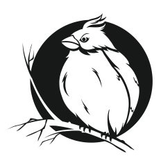 Bird On Branch N11