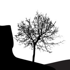 Tree Silhouette Isolated on White Backgorund Vecrtor Illustrati N38
