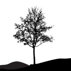 Tree Silhouette Isolated on White Backgorund Vecrtor Illustrati N39