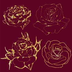 Roses Gold Contours florets