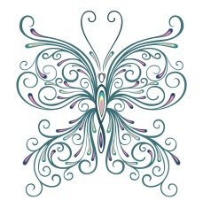 butterfly N123
