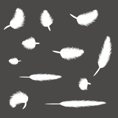 Set of feathers N5