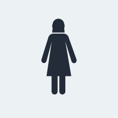 Flat Icon N27