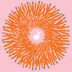 White rabbit with lots of carrots