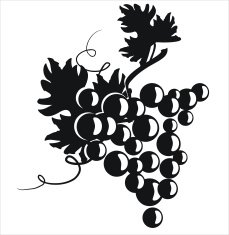 Black silhouette of grapes N4