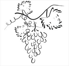 Black silhouette of grapes Vector illustration N4