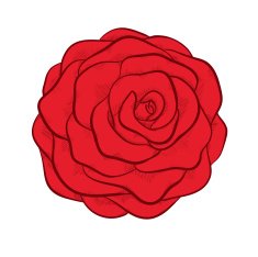 beautiful red rose isolated in graphic style