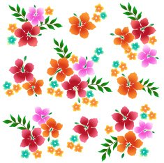 picture of Hibiscus N9