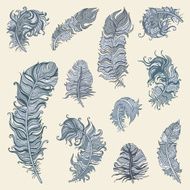 Feather set N19