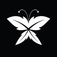 butterfly N124
