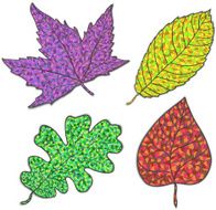 Vector nature frames with colorfull autumn leaves