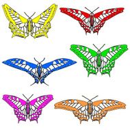 Butterflies N79
