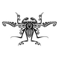 Vector Beautiful Spider