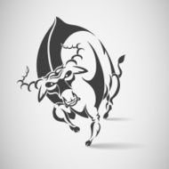 bull runs