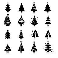 christmas tree N259