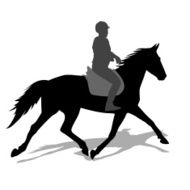 horse and jockey N5