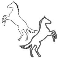 rearing up horse