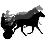 horse and jockey N7