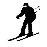 Mountain skier N22