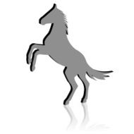 rearing up horse N2