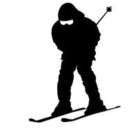 Mountain skier N24
