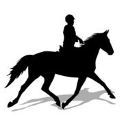 horse and jockey N8