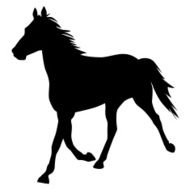 Horse N106