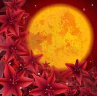 red flower02