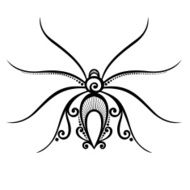 Vector Beautiful Spider N2