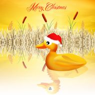 Duck at Christmas