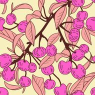 Cherries N14