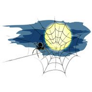 spider and spiderweb vector