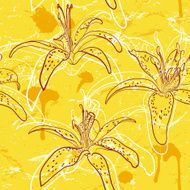 Lilly Pattern
