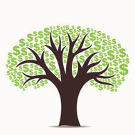 green dollar tree