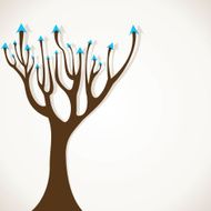 Arrow tree N3