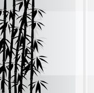 Bamboo Background N12
