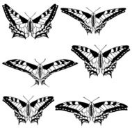 Butterflies N80