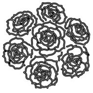 Roses N84